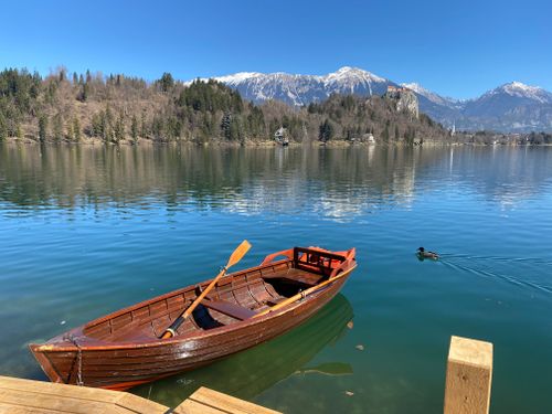 A small wooden rowing boat sits angled upon a bright blue green lake, docked to a wooden dock. A male duck, with a grey body and green head is swimming in the lake to the right of the boat. In the background, a few layers of trees sitting on a small hill cover the base of the mountains that feature prominently across the background of the photo. The mountains are a deep grey with their peaks covered in bright white snow.